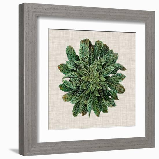 Spherical Leaves I-Vision Studio-Framed Art Print