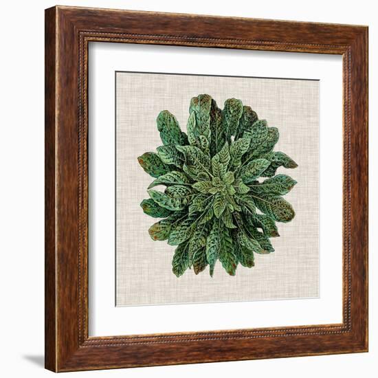 Spherical Leaves I-Vision Studio-Framed Art Print