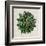 Spherical Leaves I-Vision Studio-Framed Art Print