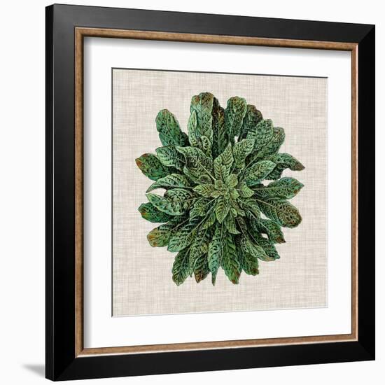 Spherical Leaves I-Vision Studio-Framed Art Print