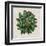 Spherical Leaves I-Vision Studio-Framed Art Print