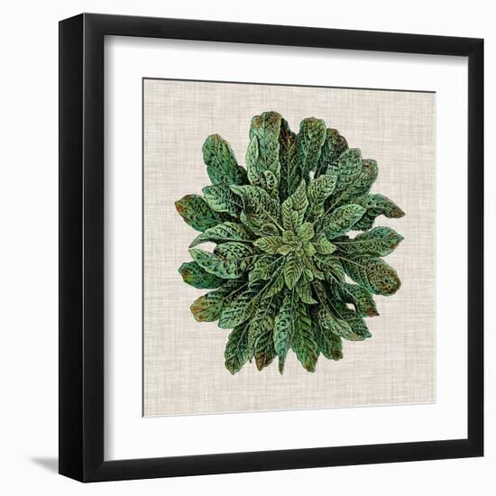 Spherical Leaves I-Vision Studio-Framed Art Print