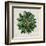 Spherical Leaves I-Vision Studio-Framed Art Print