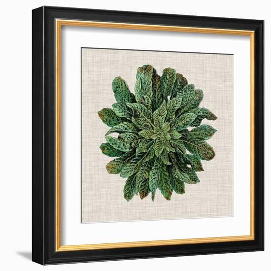 Spherical Leaves I-Vision Studio-Framed Art Print
