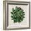 Spherical Leaves I-Vision Studio-Framed Art Print