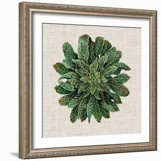 Spherical Leaves I-Vision Studio-Framed Art Print