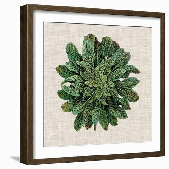 Spherical Leaves I-Vision Studio-Framed Art Print