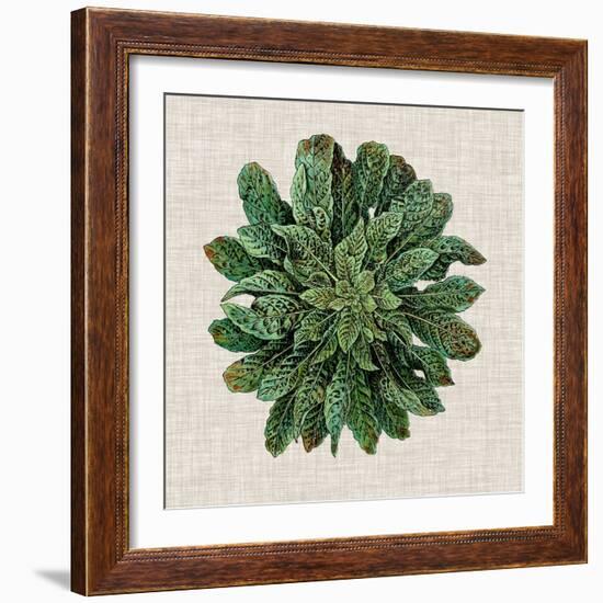 Spherical Leaves I-Vision Studio-Framed Art Print