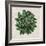 Spherical Leaves I-Vision Studio-Framed Art Print