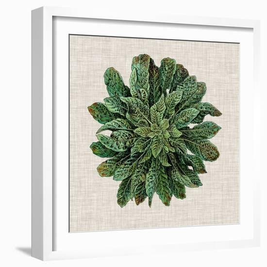 Spherical Leaves I-Vision Studio-Framed Art Print