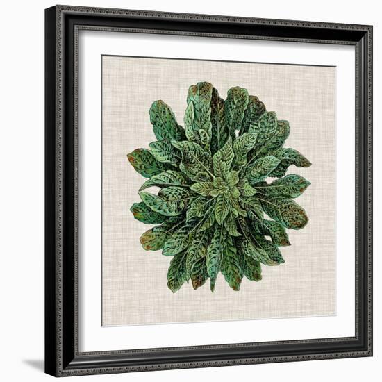 Spherical Leaves I-Vision Studio-Framed Art Print