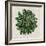 Spherical Leaves I-Vision Studio-Framed Art Print