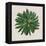 Spherical Leaves II-Vision Studio-Framed Stretched Canvas