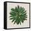 Spherical Leaves II-Vision Studio-Framed Stretched Canvas