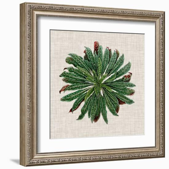 Spherical Leaves II-Vision Studio-Framed Art Print