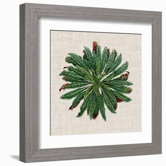 Spherical Leaves II-Vision Studio-Framed Art Print