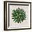 Spherical Leaves II-Vision Studio-Framed Art Print