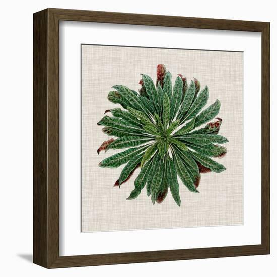 Spherical Leaves II-Vision Studio-Framed Art Print