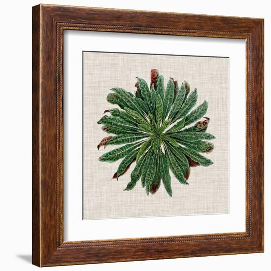 Spherical Leaves II-Vision Studio-Framed Art Print