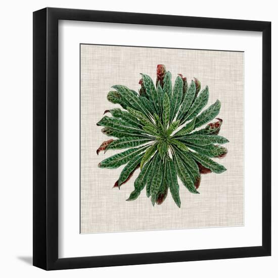 Spherical Leaves II-Vision Studio-Framed Art Print