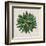 Spherical Leaves II-Vision Studio-Framed Art Print