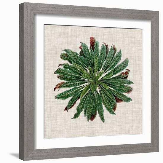 Spherical Leaves II-Vision Studio-Framed Art Print