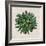 Spherical Leaves II-Vision Studio-Framed Art Print