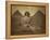 Sphinx and Giza Pyramids, 19th Century-Science Source-Framed Premier Image Canvas