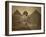 Sphinx and Giza Pyramids, 19th Century-Science Source-Framed Giclee Print