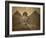 Sphinx and Giza Pyramids, 19th Century-Science Source-Framed Giclee Print