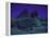 Sphinx and Great Pyramid at Giza, in Moonlight, Egypt-James Burke-Framed Premier Image Canvas