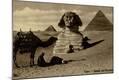 Photographic Print