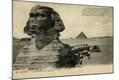 Photographic Print