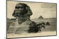 Photographic Print