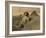 Sphinx and the Pyramids, 19th Century-Science Source-Framed Giclee Print