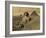 Sphinx and the Pyramids, 19th Century-Science Source-Framed Giclee Print