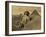 Sphinx and the Pyramids, 19th Century-Science Source-Framed Giclee Print