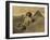 Sphinx and the Pyramids, 19th Century-Science Source-Framed Giclee Print