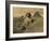 Sphinx and the Pyramids, 19th Century-Science Source-Framed Giclee Print