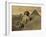 Sphinx and the Pyramids, 19th Century-Science Source-Framed Giclee Print