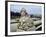 Sphinx at Gardens of Belvedere Palace, 18th Century, Vienna-null-Framed Giclee Print