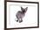 Sphinx Cat-Fabio Petroni-Framed Photographic Print