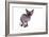 Sphinx Cat-Fabio Petroni-Framed Photographic Print