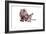 Sphinx Cat-Fabio Petroni-Framed Photographic Print