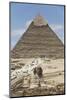 Sphinx in Foreground and Pyramid of Chephren, the Giza Pyramids, Giza, Egypt, North Africa, Africa-Richard Maschmeyer-Mounted Photographic Print