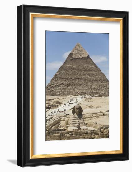 Sphinx in Foreground and Pyramid of Chephren, the Giza Pyramids, Giza, Egypt, North Africa, Africa-Richard Maschmeyer-Framed Photographic Print