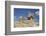 Sphinx in Foreground, and the Great Pyramid of Cheops, the Giza Pyramids-Richard Maschmeyer-Framed Photographic Print