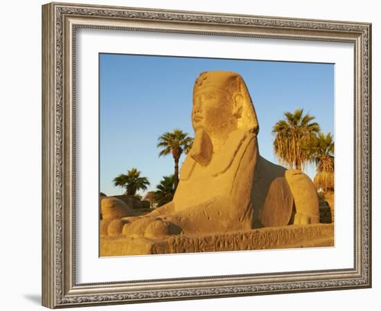 Sphinx Path, Temple of Luxor, Thebes, UNESCO World Heritage Site, Egypt, North Africa, Africa-Tuul-Framed Photographic Print