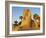 Sphinx Path, Temple of Luxor, Thebes, UNESCO World Heritage Site, Egypt, North Africa, Africa-Tuul-Framed Photographic Print