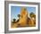 Sphinx Path, Temple of Luxor, Thebes, UNESCO World Heritage Site, Egypt, North Africa, Africa-Tuul-Framed Photographic Print